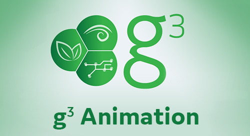 Video - g3 animation